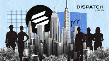 blog dispatch 229 cover