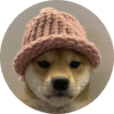 dogwifhat (WIF) cryptocurrency logo